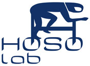 Hoso Lab