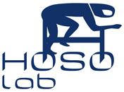 www.hosolab.it